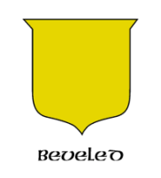 Beveled Shield